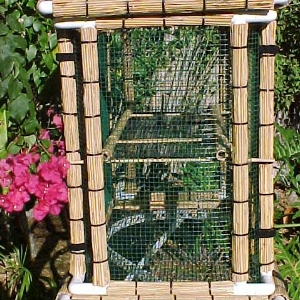 The Small Basking Cage